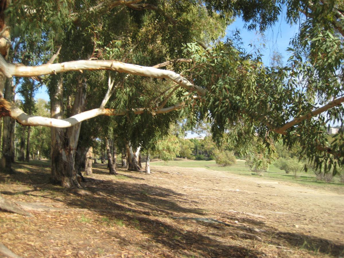 Oasi Del Lago Regalbuto Buitenkant foto