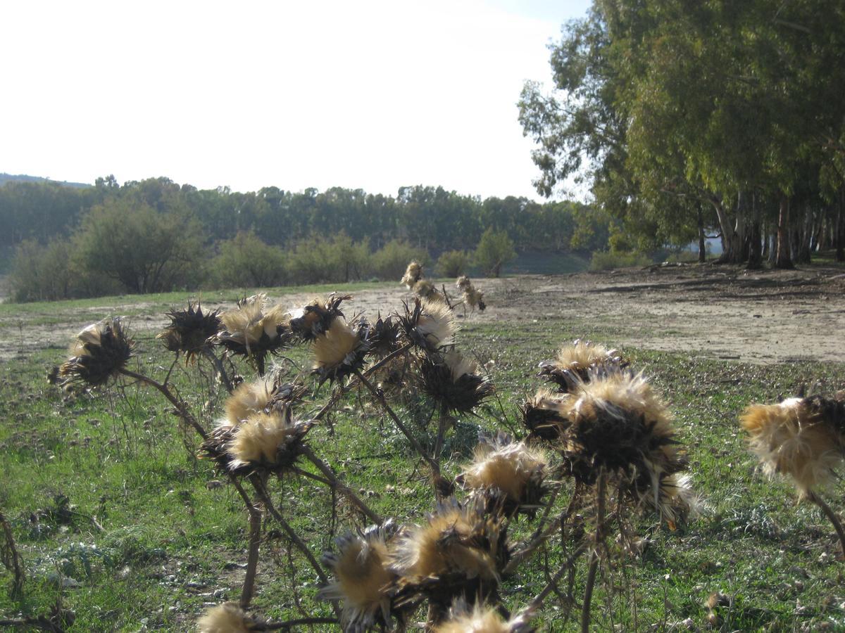 Oasi Del Lago Regalbuto Buitenkant foto