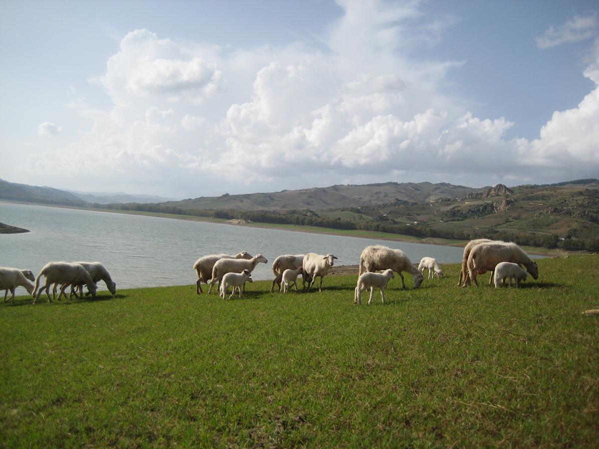 Oasi Del Lago Regalbuto Buitenkant foto